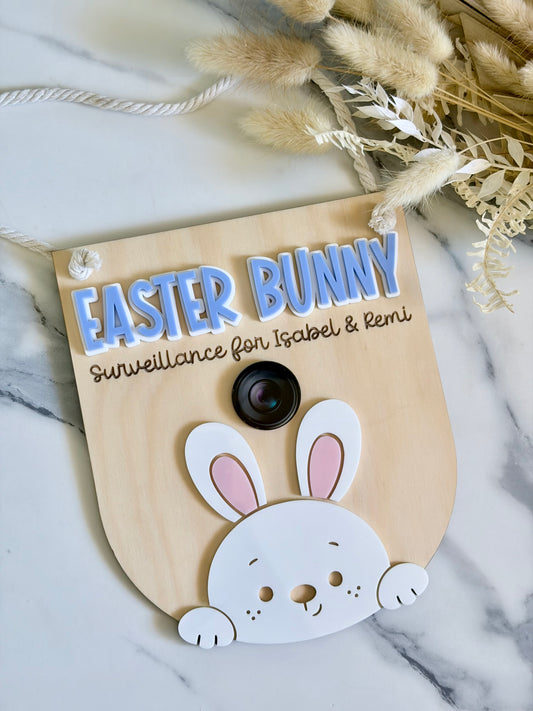 Bunny Surveillance Hanging Plaque