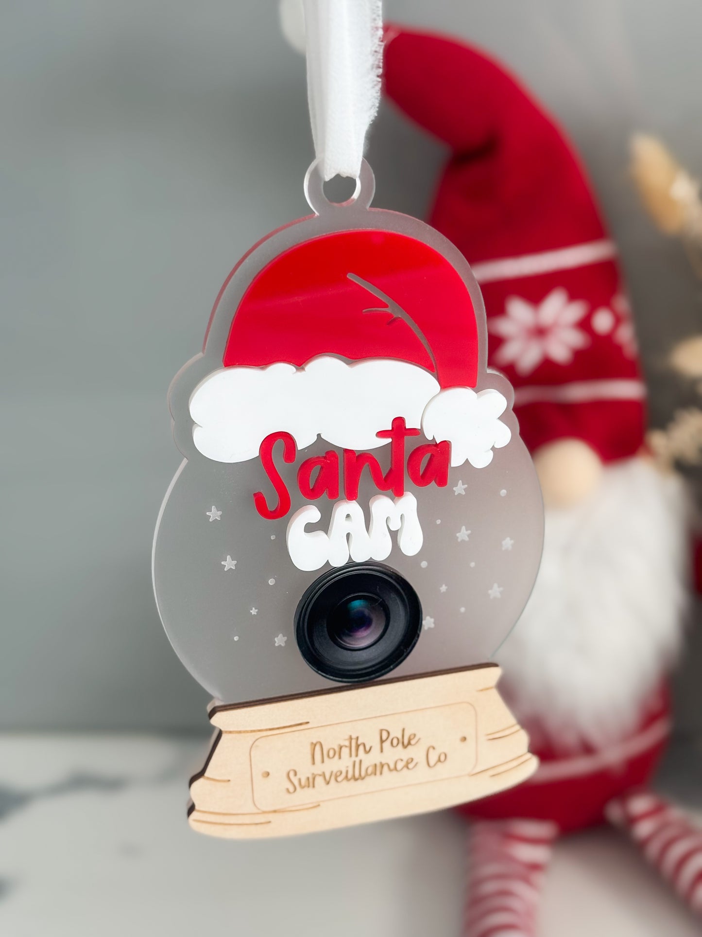 Santa Cam Snow Globe