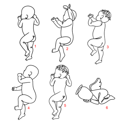 1:1 Scale Arch Frame